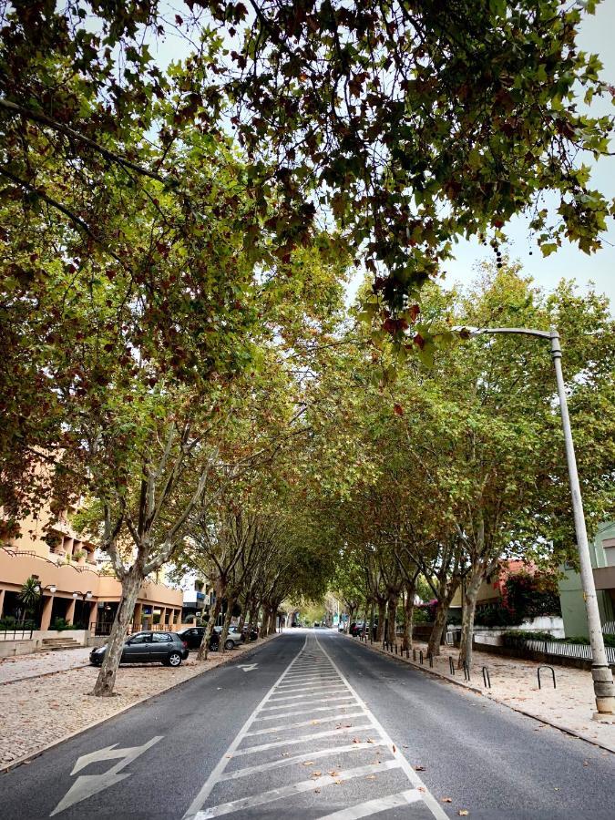Cascais Avenida Loft- By Onartstays Eksteriør billede